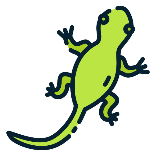 Lizard